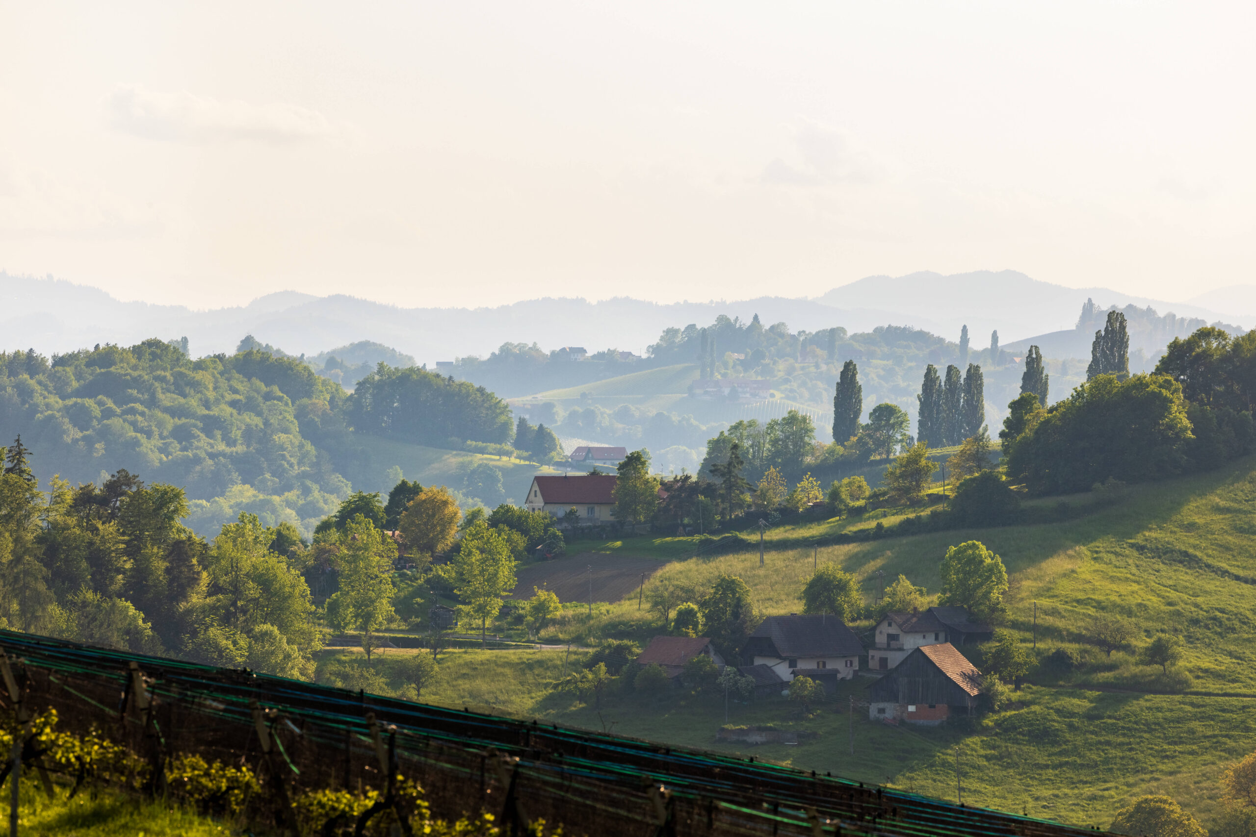 Landschaftsaufnahme Südsteiermark